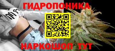 СК Обнинск
